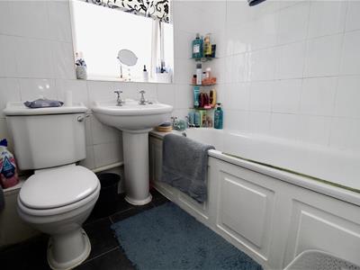 Picture 17
